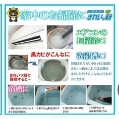きれいっ粉 日本製 粉末洗剤 2袋セットの画像