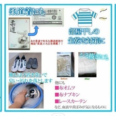 きれいっ粉 日本製 粉末洗剤 2袋セットの画像