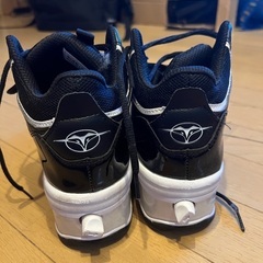 ローラーシューズの画像