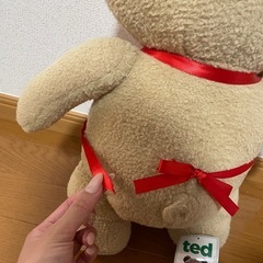 ぬいぐるみ（テッド）の画像