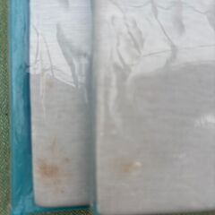 　未着用　半袖 U首シャツM　2点セット　綿100％　 の画像