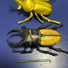カブトムシ　クワガタ　BIG フィギュアの画像