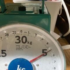 ⑦スイカ5kg!!Mサイズ規格外の画像