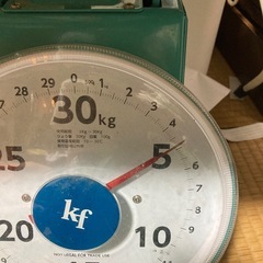 【受付終了】⑨スイカ4.7kg!!sサイズ　正規品の画像