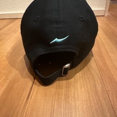 アピア　APIA 釣りフェス　限定キャップ　入手困難の画像