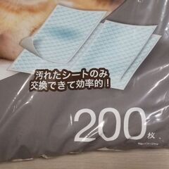 DCM ペットシーツ　400枚の画像