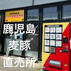 🐷鹿児島麦豚🐷笹原農場直営🐷