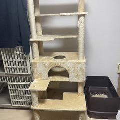 キャットタワーの画像