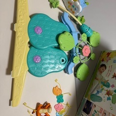 プーメリーの画像
