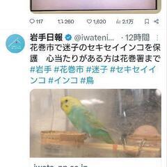 インコ