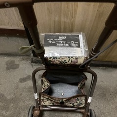 〈7/30 10:00〜11:30限定〉シルバーカートBの画像