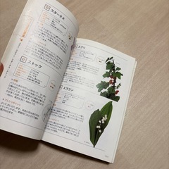 花屋さんの花がわかる本の画像