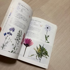 花屋さんの花がわかる本の画像