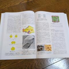 【書籍】ホートン生化学の画像
