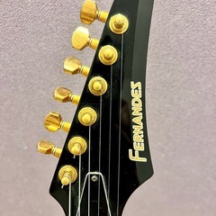 Fernandes フェルナンデス エレキギター FGZ420の画像