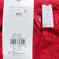 【新品】トリンプ すっきりスムースブラ＆ショーツB70 レッド　国内正規品の画像