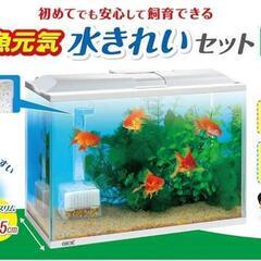 【新品・未使用品】GEX ジェックス 金魚元気 水きれいセット Lの画像