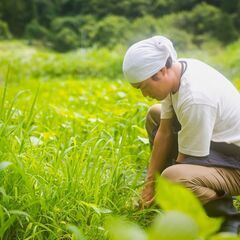 【大阪限定】伐採・草刈り・草むしりは便利屋Rakuにお任せください！