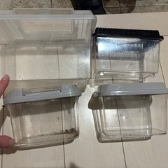 トロ舟 とろ舟 プラケース9個 爬虫類小動物昆虫の画像