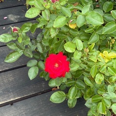 💃福井でダンス好き女子集まれ！💃