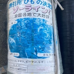 誘導用ひも9000デニール＆育苗用ポットセットの画像
