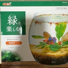 【GEX】グラスアクアDROP色々セット※早目の取引希望の画像