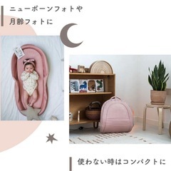 【美品】ネオママイズム ベッドインベッド　グレーの画像
