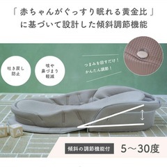 【美品】ネオママイズム ベッドインベッド　グレーの画像