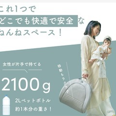 【美品】ネオママイズム ベッドインベッド　グレーの画像