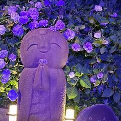 《一時停止》お友達募集です。特に手話出来る方！