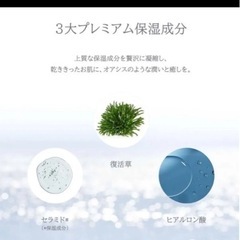 ドクターエルシア オアシススージングマスク 1箱 5枚入り 復活草の画像