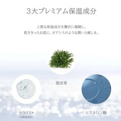 ドクターエルシア オアシススージングマスク 1箱 5枚入り 復活草の画像