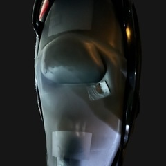 マジェスティ4D9の画像