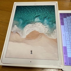 ジャンク　iPadpro 12.9インチ　第二世代　MPA62J/A  256GBの画像