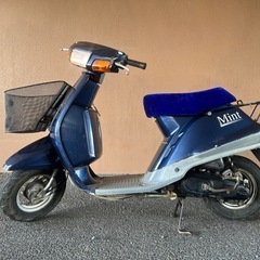 ヤマハ　ミント　実動車ベース　シート張替済み　確認動画ありの画像