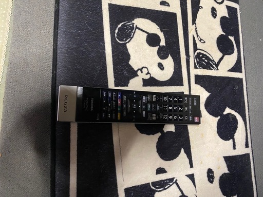 TOSHIBA REGZA 47インチ