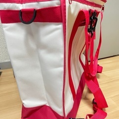 ロピア　買い物バッグ　4wayタイプの画像