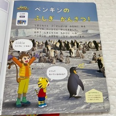 こどもちゃれんじ　すてっぷ4〜5才用の画像