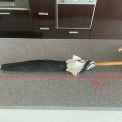 オーロラ企画　日傘(7月31まで出品予定)の画像