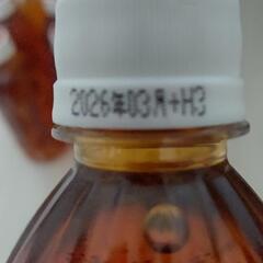 烏龍茶ﾗﾍﾞﾙﾚｽ500ml×10本の画像
