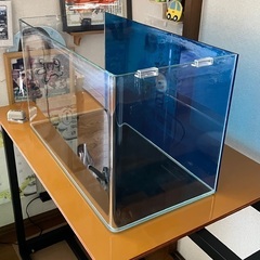 ガラス水槽 アクロ60 スーパークリア 前面曲げ 60x30x36cm 約60Lの画像