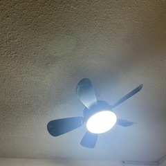 LED シーリングファンライト 扇風機の画像