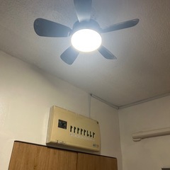 LED シーリングファンライト 扇風機の画像