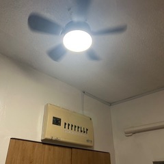 LED シーリングファンライト 扇風機の画像