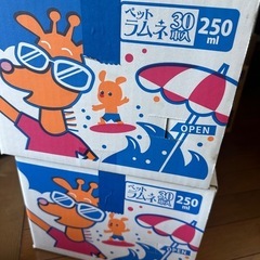 大人気！鎌田ラムネの画像
