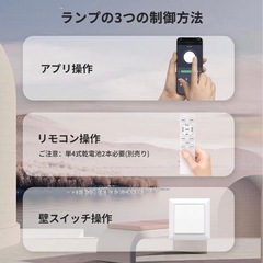 募集停止シーリングライト 7/28.29am.30までのお取引限定の画像