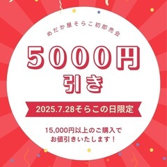 メダカすくい&発売会の画像