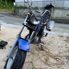 国内エイプ100の画像