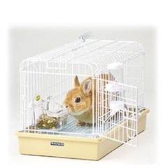 8月18日まで❗️小動物用キャリーの画像