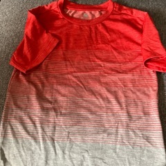 Tシャツ2枚の画像